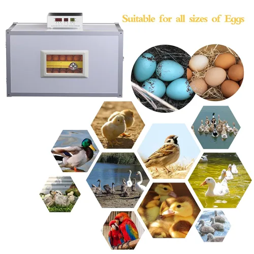 Miniatura 6 de Incubadora de huevos, incubadora de huevos de granja con giro automático de huevos y control de humedad, máquina industrial de crianza de pollo