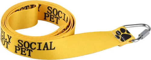 Miniatura 3 de Divertida correa para perro selectivamente social, no mascotas, correa para perros para caminar, entrenamiento, correas para perros, dueño