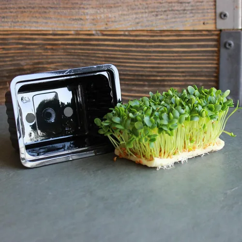 Miniatura 2 de Handy Pantry Micro Punnet Microgreens - Bandejas de cultivo de una sola porción – Paquete de 10 – 2 pulgadas por 3 pulgadas – 2 pulgadas de alto