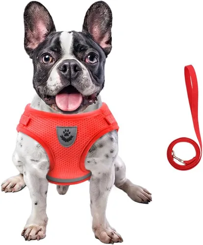 Miniatura 19 de FEimaX Juego de arnés y correa para perro, malla suave ajustable, de fácil control, chaleco ligero para gatos con tiras reflectantes, a prueba