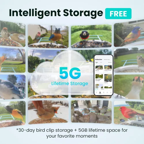 Miniatura 3 de NETVUE por Birdfy Alimentador Inteligente para Pájaros con Cámara AI Alimentado por Energía Solar, Observación de Aves Silvestres Inalámbrica de Azul