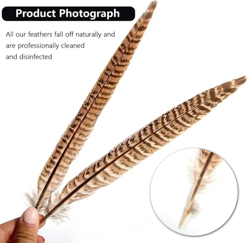 Miniatura 3 de THARAHT 24 plumas de faisán femenino, plumas naturales de 6 a 8 pulgadas, 5.9-7.9 in para manualidades, hogar, boda, fiesta, actuación, decoración