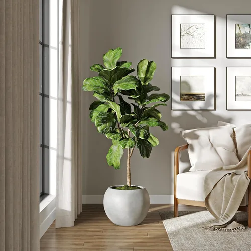 Miniatura 20 de DTY Fiberstone - Maceta tipo globo para interiores y exteriores, maceta esférica ligera para olivo, Monstera y palma, piedra de fibra de vidrio