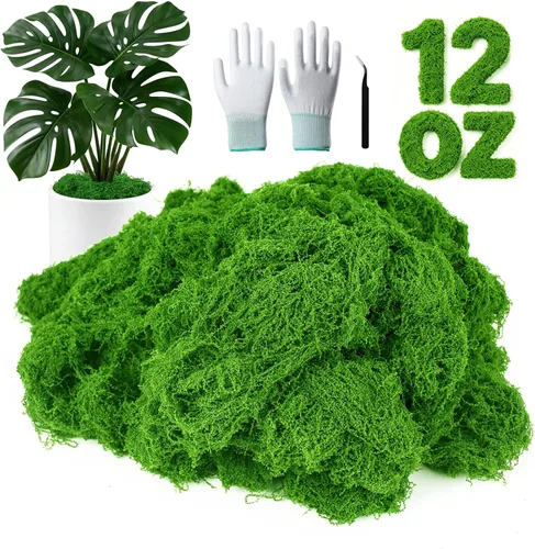Miniatura 14 de MGLIFEUL Musgo artificial artificial de 1.125 libras para manualidades, plantas de interior con guantes antiadherentes y pinzas, musgo artificial