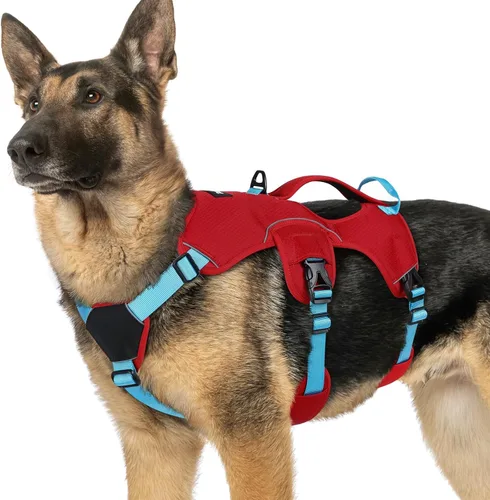 Miniatura 52 de rabbitgoo - Arnés para perro a prueba de fugas, arnés para mascotas acolchado suave de cuerpo completo, chaleco reflectante ajustable sin tirones