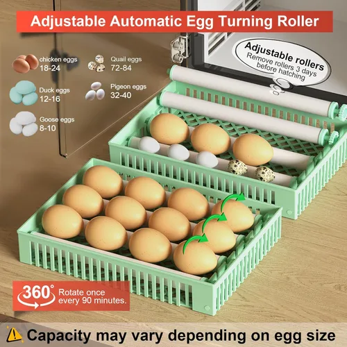 Miniatura 5 de Incubadoras Chalixion para incubar 24 huevos, incubadora de huevos con volteador automático de huevos, humidificador ultrasónico atomizado