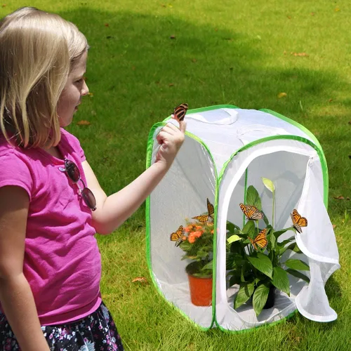 Miniatura 2 de RESTCLOUD - Jaula de hábitat para insectos y mariposas, 23.6 pulgadas de alto Blanco con verde