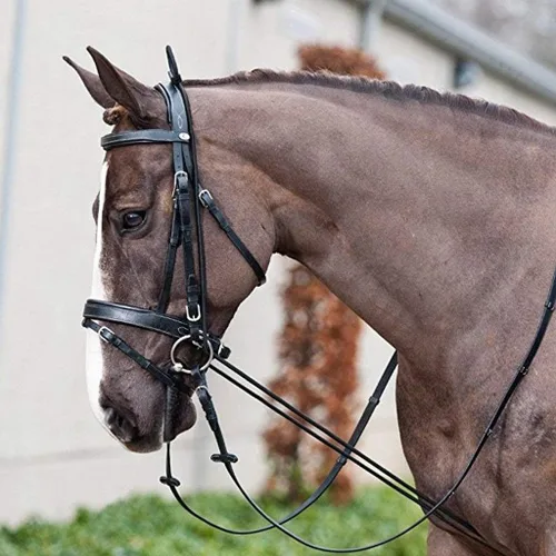 Miniatura 7 de NEFTF - Cuerda de entrenamiento ajustable ajustable con riendas de caballo de 9.8 pies