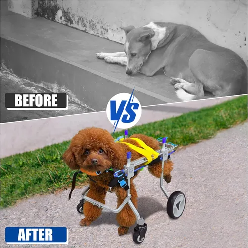 Miniatura 2 de Silla de ruedas ajustable para perros con cuatro ruedas, remolque de bicicleta de movilidad ligera para mascotas discapacitadas, fácil de montar