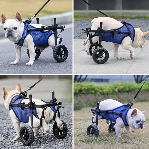 Miniatura 5 de Silla de ruedas mejorada para patas traseras, silla de ruedas ajustable para perros pequeños para discapacitados, lesionados, paralizados, perros