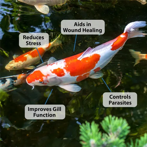 Miniatura 8 de CrystalClear ParaSalt - Sal de estanque para Koi y Goldfish - 10 libras de golosinas de hasta 2,000 galones (CC158-10)