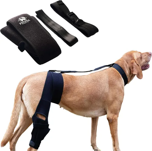 Rodillera ajustable para perro para desgarro del ligamento cruzado anterior y rótula luxante, soporte para pierna trasera, displasia de cadera y