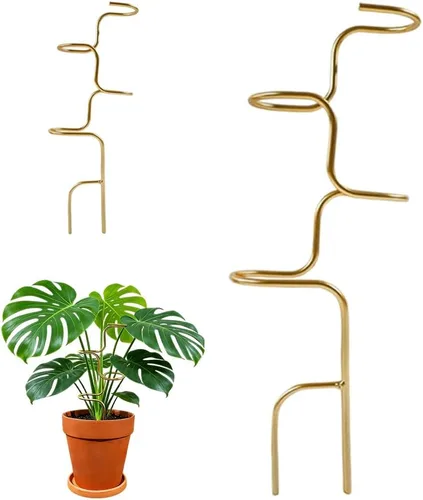 Estacas para plantas, 2026 nuevas estacas de soporte para plantas de interior, soportes para escalada de tallo en maceta, soporte alto para plantas