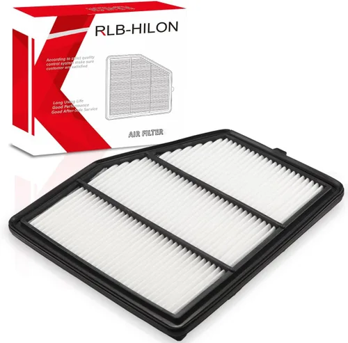 RLB-HILON Filtro de Aire del Motor Compatible con Nissan Altima 2.5L 2019 2020 2021 2022 Año, para 165466CA0A 0421960 1433779 CA12551