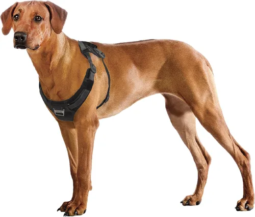 Miniatura 19 de Outward Hound Boulder Adventure - Arnés ajustable para perro con bolsillos, turquesa, mediano
