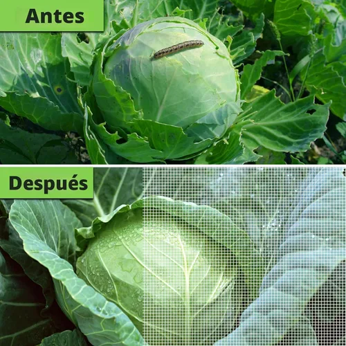 Miniatura 5 de Red para Jardín Ultra Fina de 8x10 Pies, Cubiertas para Plantas, Malla de Barrera para Plantas, Vegetales, Frutas, Flores, Árboles, Cubierta de Fila