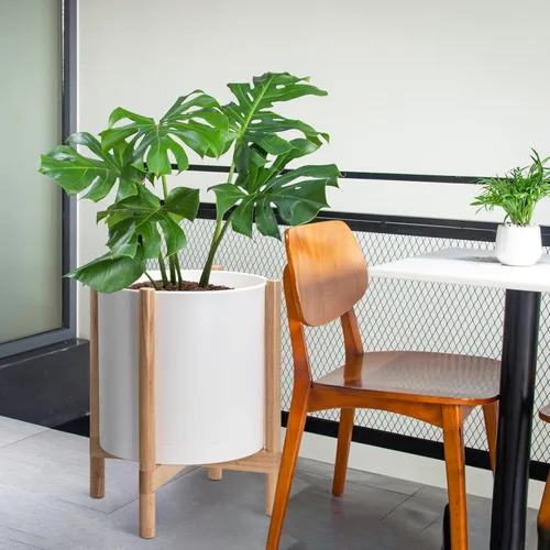Miniatura 4 de Maceta de D'vine Dev con soporte - Maceta de flores de cilindro de plástico de 8.0 pulgadas con soporte de madera para interiores, maceta mate negra