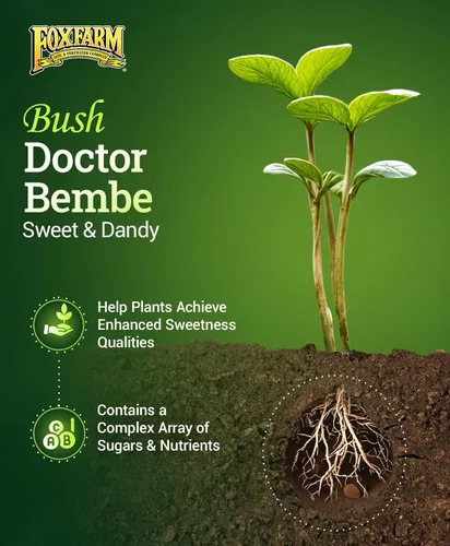 Miniatura 2 de FoxFarm Bushdoctor Bembé concentrado, fertilizante líquido de acción rápida para plantas, mejora los azúcares naturales para la dulzura y el sabor