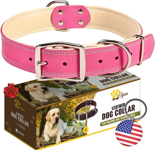 ADITYNA Collar de perro de cuero rosa resistente para perros grandes, forrado con cuero suave, collar de perro para caminar, entrenar y senderismo