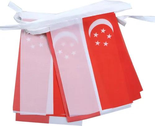 Miniatura 336 de AZ FLAG Señal marítima internacional 42.7 ft BUNTING Flag 40 banderas 9'' x 6'' - Banderas de cuerda del alfabeto náutico 5.9 x 8.3 in