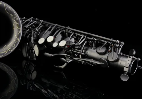 Miniatura 3 de Kit de cuidado para saxofón con 11 reeds, 8 para saxofón alto cojines, funda, Glory E Flat