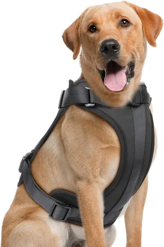 Miniatura 36 de Arnés ligero para perro sin tirones: arnés ajustable y duradero de malla transpirable con cojín suave y cómodo, para perros pequeños, medianos y Lila