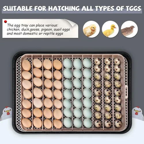 Miniatura 8 de Sailnovo Incubadora de 70 huevos para incubar huevos con giro automático de huevos y humidificación automática, control de temperatura, vela