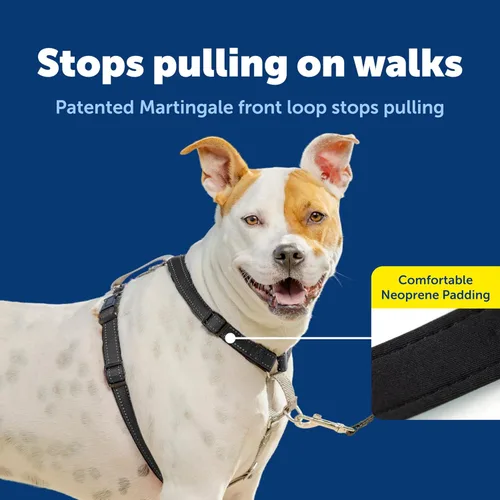 Miniatura 3 de PetSafe Arnés 3 en 1 – Cómodo arnés de pecho Easy-Walk para perro con accesorio de correa frontal para reducir tirones, ahogamiento y arcadas – Negro