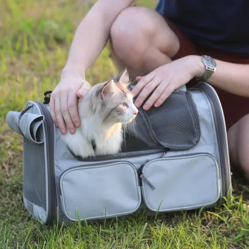 Miniatura 5 de FUKUMARU Transportador para Gatos, Transportador para Perros Pequeños de Lados Suaves, Bolsa de Viaje para Gatos Grandes con 4 Ventanas de Malla