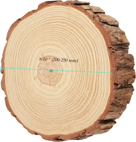 Miniatura 2 de 6 piezas de rebanadas de madera de 8 a 9 pulgadas, círculo de madera sin terminar de 20 a 9.1 in con corteza de árbol, centros de mesa redondos