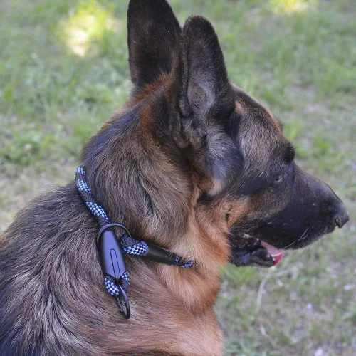 Miniatura 7 de BronzeDog Rope Pro - Collar de entrenamiento para perro trenzado sin tirones, collares redondos de liberación rápida para perros pequeños, medianos