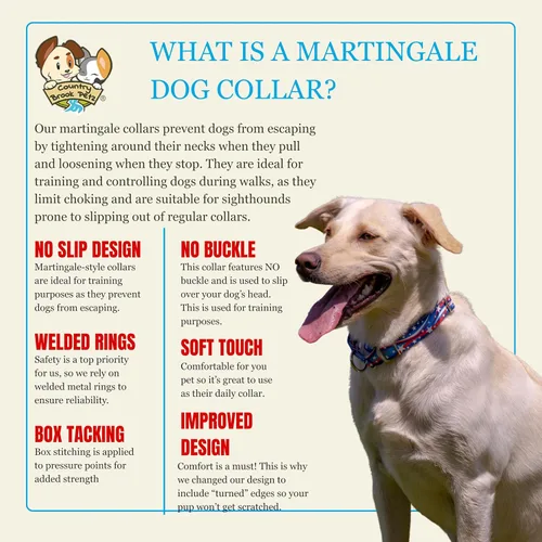 Miniatura 7 de Country Brook Petz HossFit Jr - Collar ancho de Martingala para perro, colección Americana con diseños patrióticos (celebración americana, mediano)