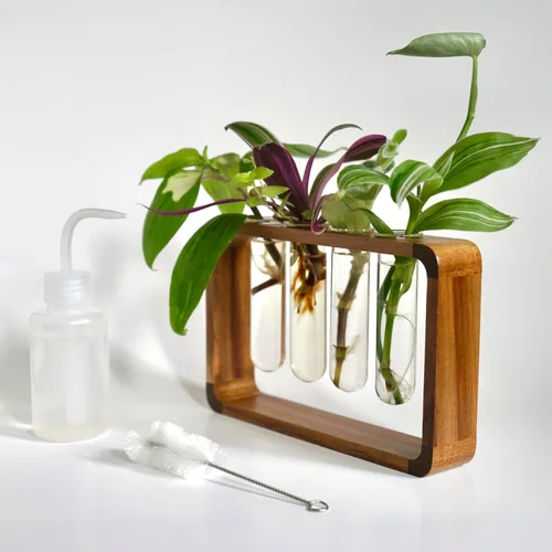 Miniatura 7 de Source & Plot Estación de propagación de plantas, soporte de madera de acacia con 4 tubos de ensayo de vidrio, estante hidropónico de mesa