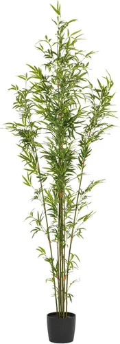 Miniatura 6 de Vickerman Mini árbol de bambú artificial en maceta de 5 pies.