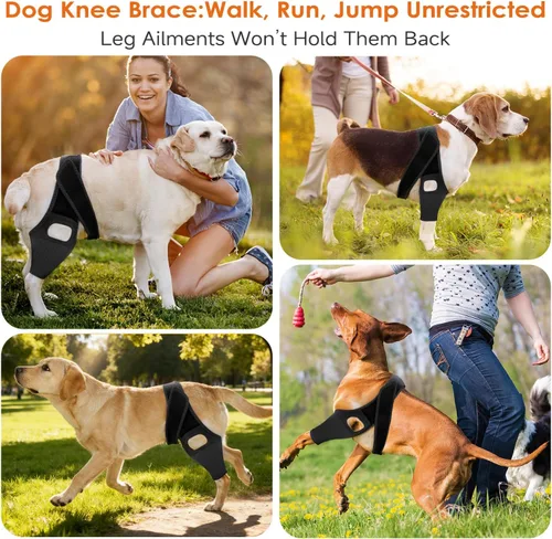 Miniatura 7 de Jorme Rodillera para perro para pierna trasera desgarrada del ligamento cruzado anterior, de neopreno transpirable con velcro ajustable y banda
