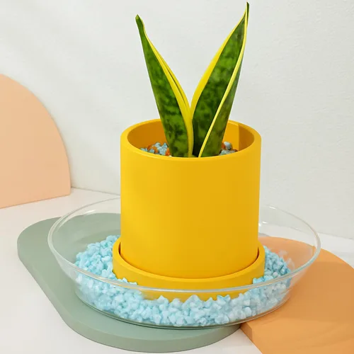 Miniatura 8 de Paquete de 36 platillos transparentes para plantas en interiores (4, 6, 8, 10, 12, 14 pulgadas), platillos para macetas para plantas en maceta