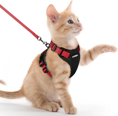 Miniatura 32 de rabbitgoo Juego de arnés y correa para gatos, arnés a prueba de escapes para paseos seguros al aire libre, chaleco suave transpirable ajustable