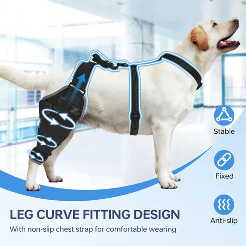 Miniatura 6 de Rodillera para perro para pierna trasera, ajustable, transpirable, con paquetes de gel caliente y frío, soporta perros grandes y medianos