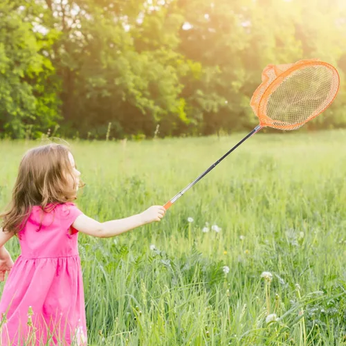 Miniatura 7 de TENDYCOCO Redes telescópicas para atrapar insectos al aire libre con cubos para niños, kit extensible para atrapar insectos y red de pesca