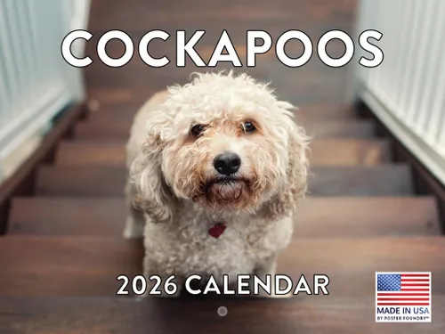 Miniatura 40 de Calendario de pared mensual 2025 Great Dane de 12 meses, fabricado en Estados Unidos