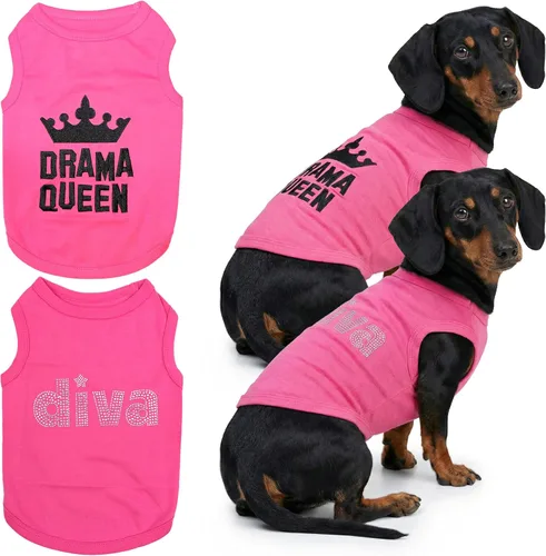 Miniatura 30 de Parisian Pet - Camiseta bordada para perros y gatos, con texto en inglés Sexy and I Know It, XS Sexy y lo sé