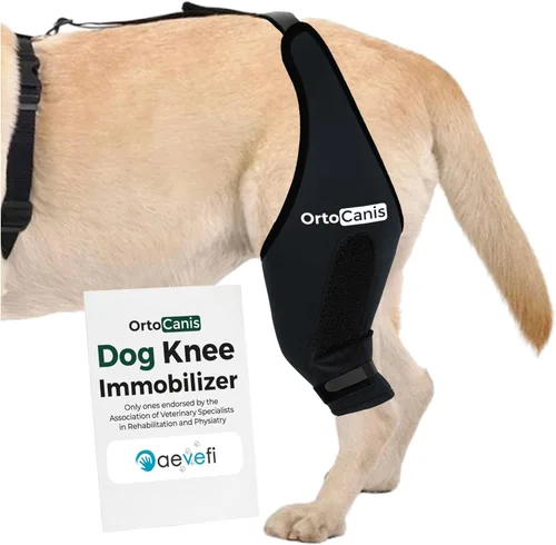 Ortocanis Inmovilizador de rodilla para perros con férulas de aluminio – Soporte de pierna trasera izquierda para luxación de rótula, lesiones de