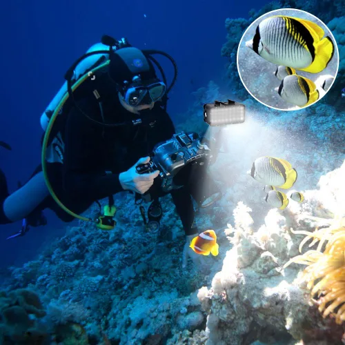 Miniatura 6 de Suptig Luz de buceo de alta potencia regulable impermeable LED luz de vídeo relleno luz nocturna buceo subacuático luz impermeable 147 pies