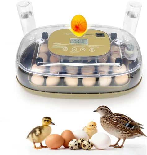 Incubadora de 24 huevos para incubar con girador automático, control inteligente de temperatura y humedad, visualización 360°, ovoscopio, recarga