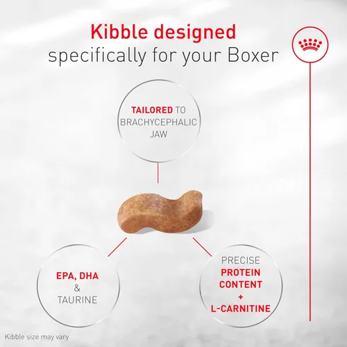Miniatura 4 de Royal Canin Breed Health Nutrition Boxer - Alimento seco para perros adultos, bolsa de 17 libras