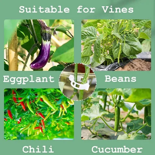 Miniatura 4 de Clips de soporte para plantas, clips de jardín reutilizables, clips de plástico para tomate, vid y uva para cuerdas, clips para plantas trepadoras