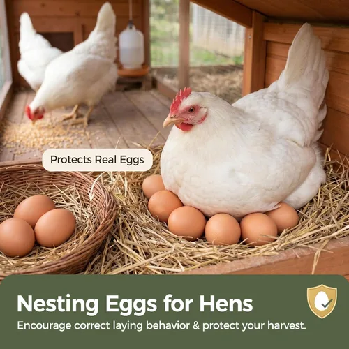 Miniatura 3 de LovesTown Huevos de madera para manualidades, 8 huevos falsos, caja de anidación de pollo, ayuda a poner gallinas y aves de corral para entrenamiento