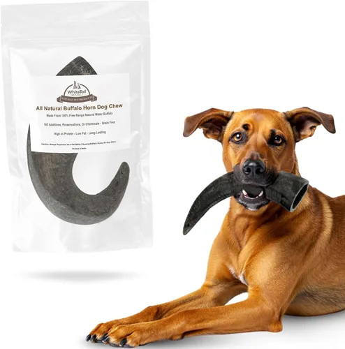 Miniatura 9 de WhiteTail Naturals - Cuernos de búfalo de agua para perros (paquete mediano, 3 unidades) Hueso de perro totalmente natural - Hueso masticable