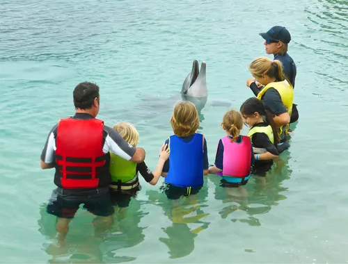 Miniatura 6 de Chaleco de natación para niños pequeños Chalecos flotadores para niños y niñas Chaqueta de natación con flotador Traje de baño con flotabilidad Azul