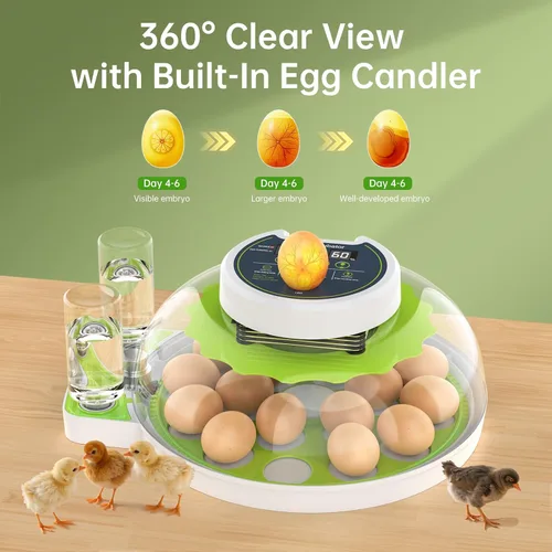 Miniatura 6 de Incubadora de 8 huevos con giro automático de huevos, control de temperatura y humedad, vela de huevos, mini incubadora digital para incubar pollo